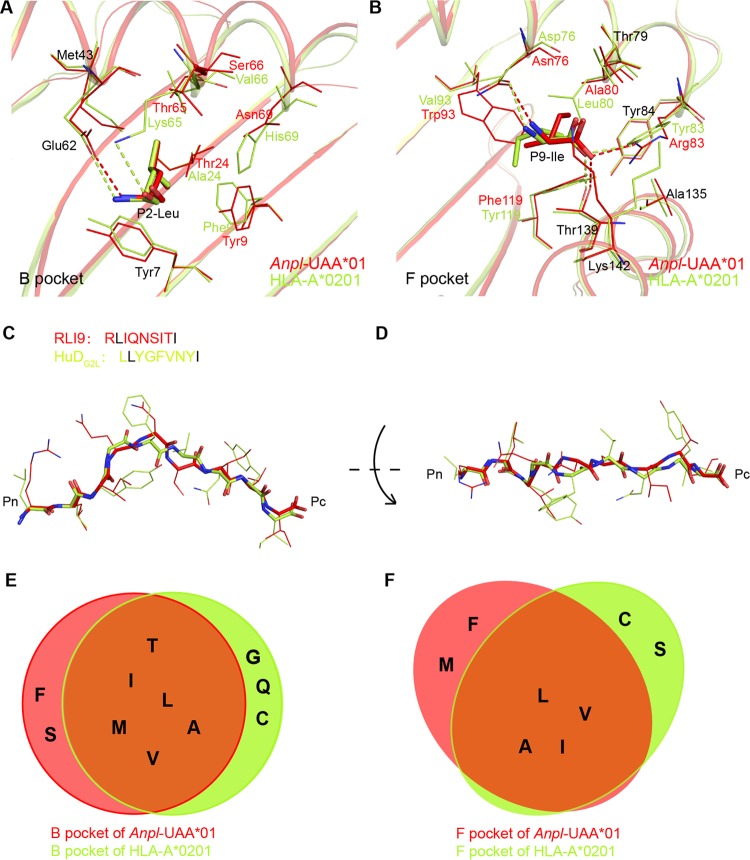 FIG 10