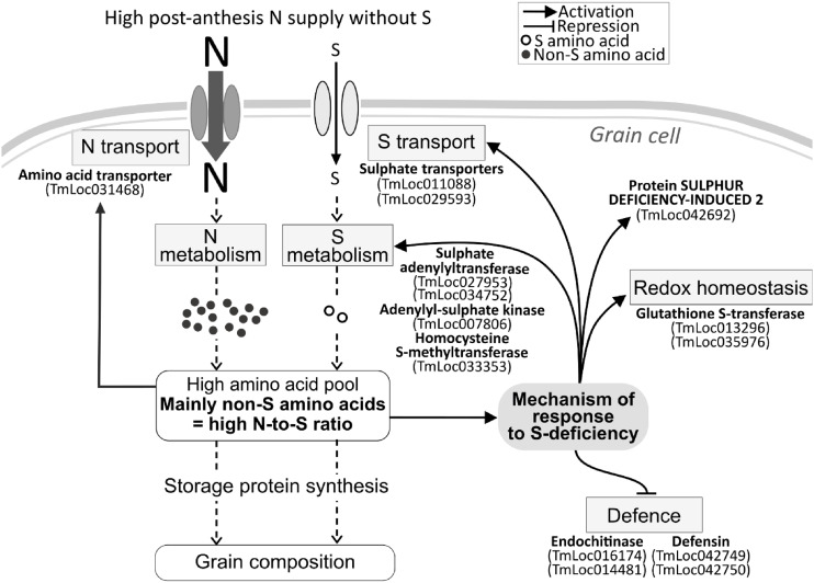 Figure 6.