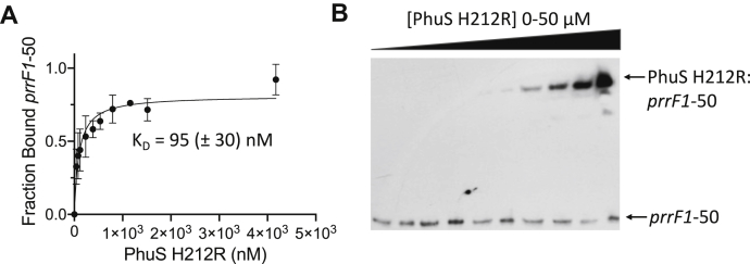 Figure 5