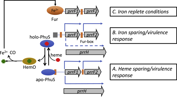 Figure 7