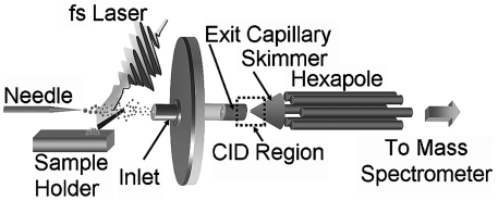 Fig. 5.