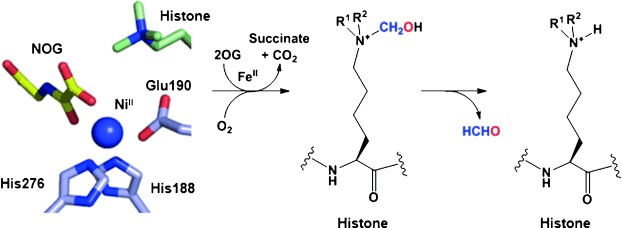 Scheme 1