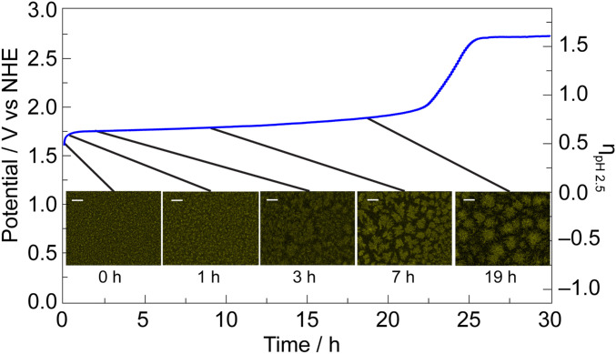 Fig. 5.