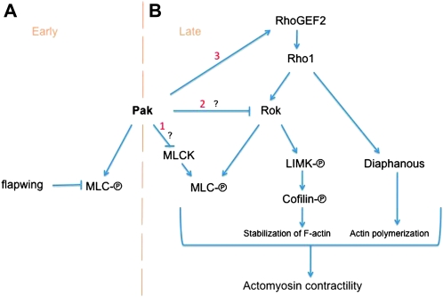 Figure 7.—