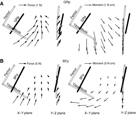 Fig. 9.