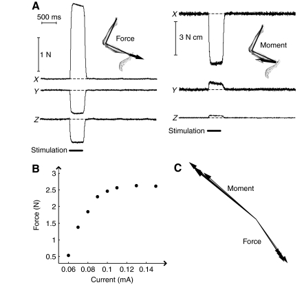 Fig. 2.