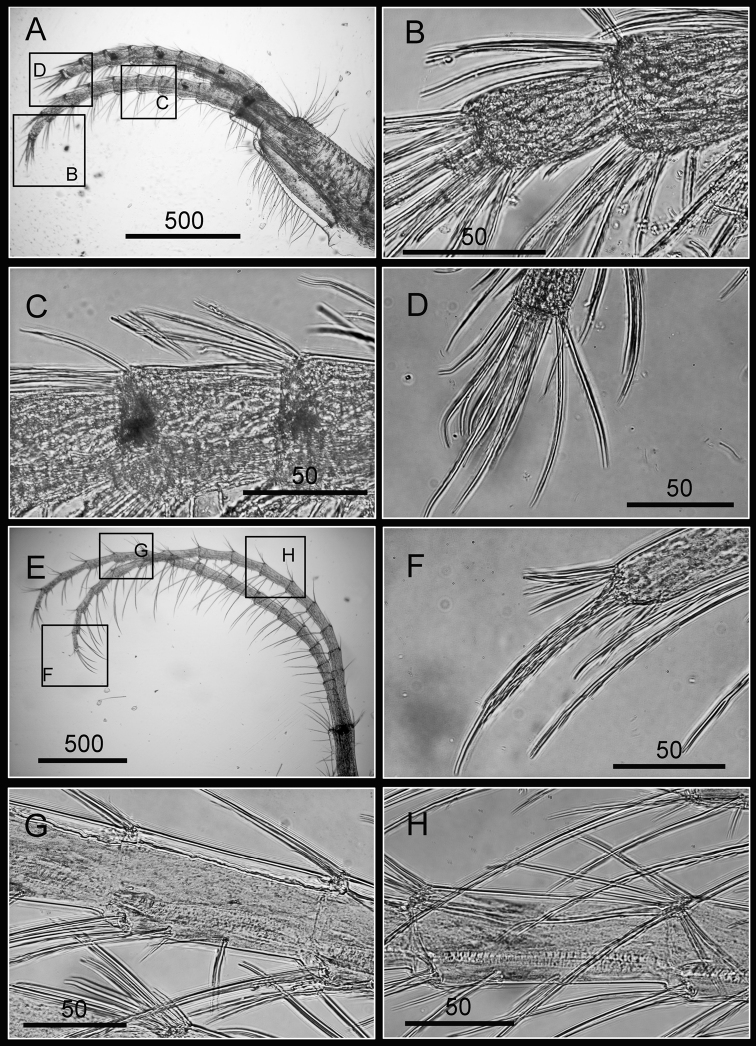 Figure 16.