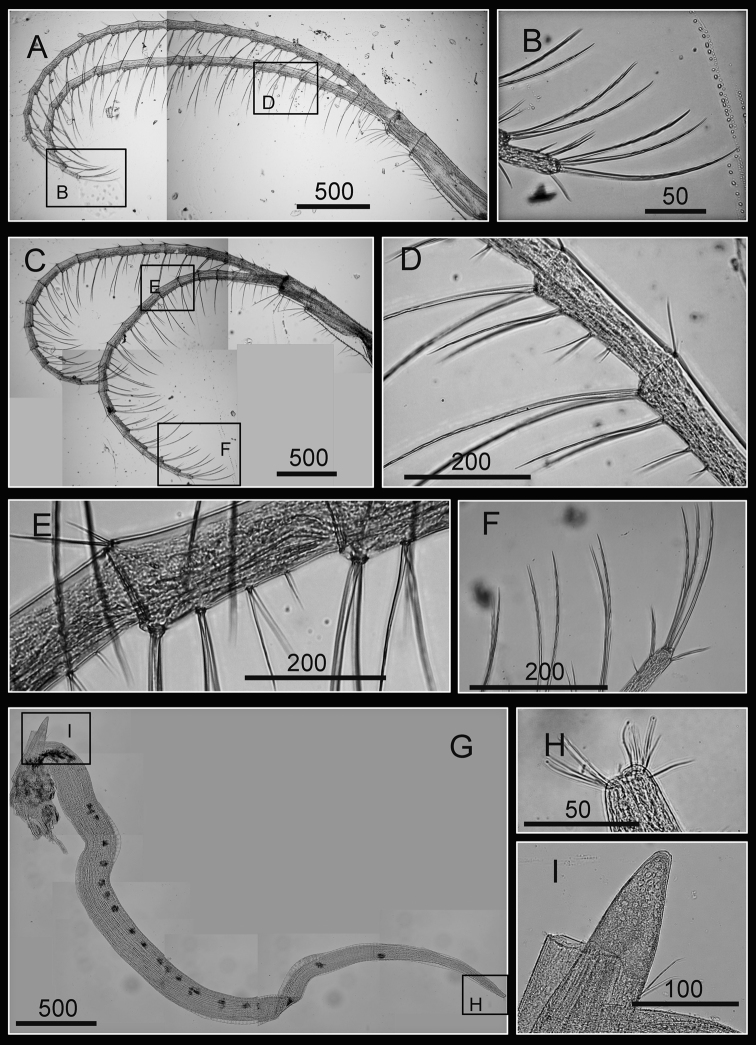 Figure 17.