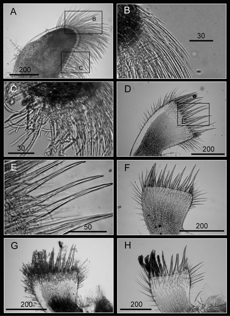 Figure 11.