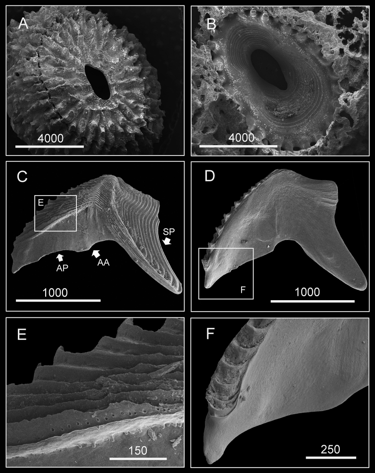 Figure 10.