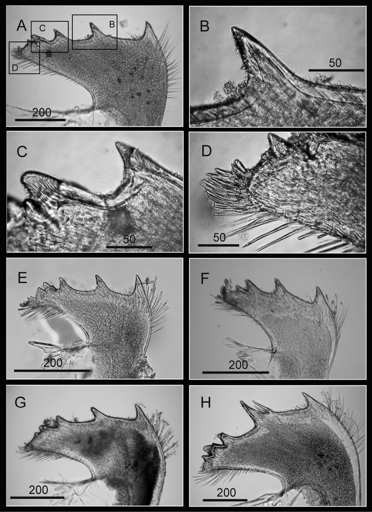 Figure 12.