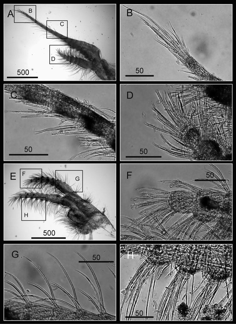 Figure 15.