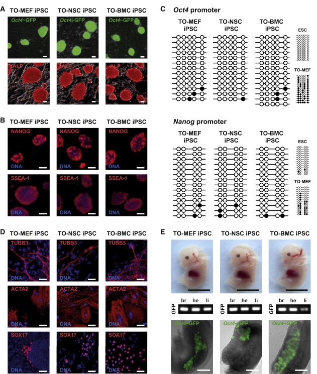 Figure 2