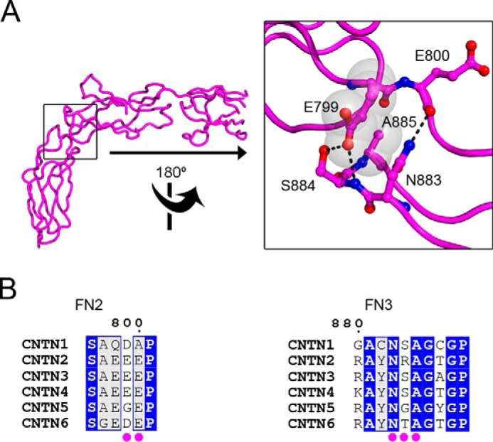 FIGURE 9.