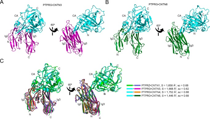 FIGURE 2.