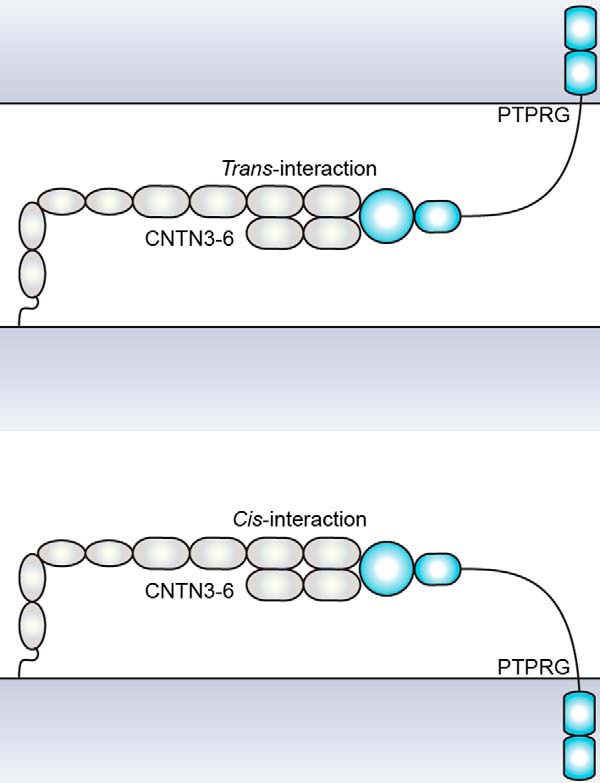 FIGURE 11.