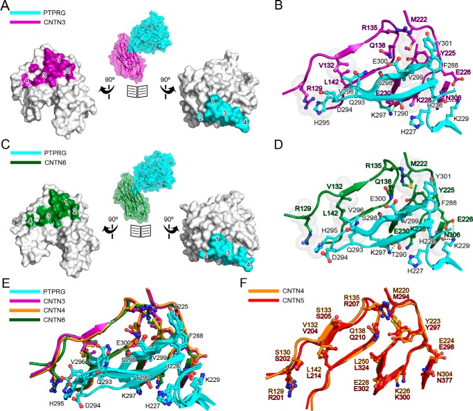 FIGURE 3.