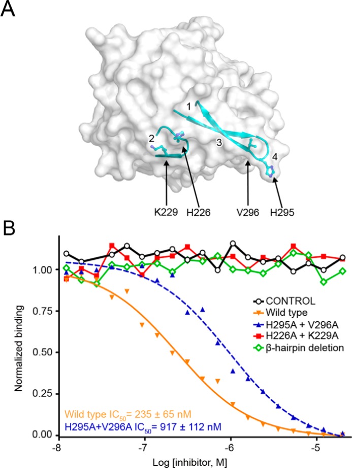 FIGURE 4.