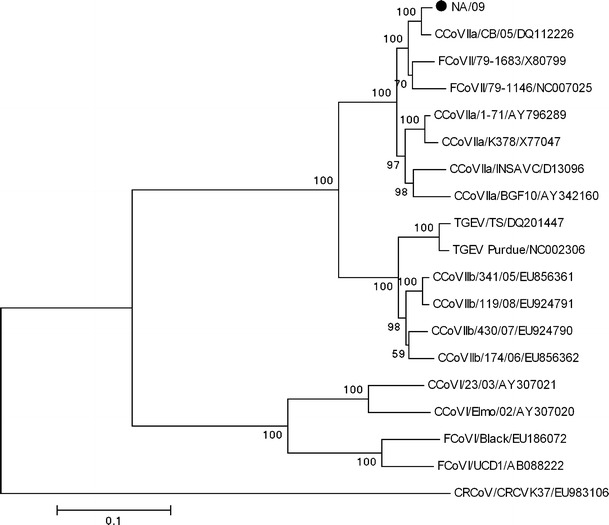 Fig. 1