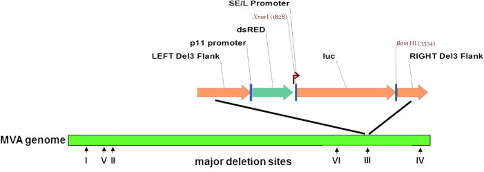 Supplementary Fig. 1