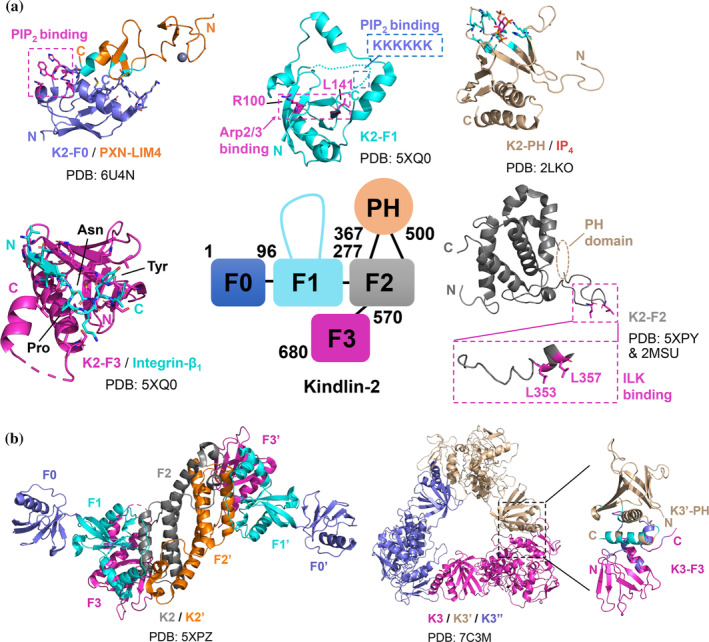 FIGURE 3