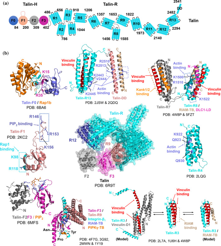 FIGURE 2