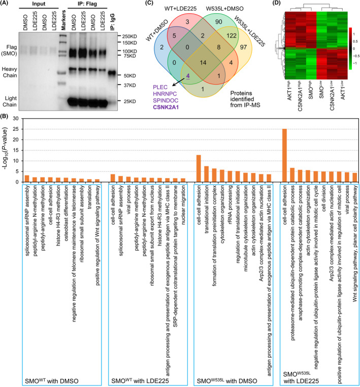 FIGURE 3