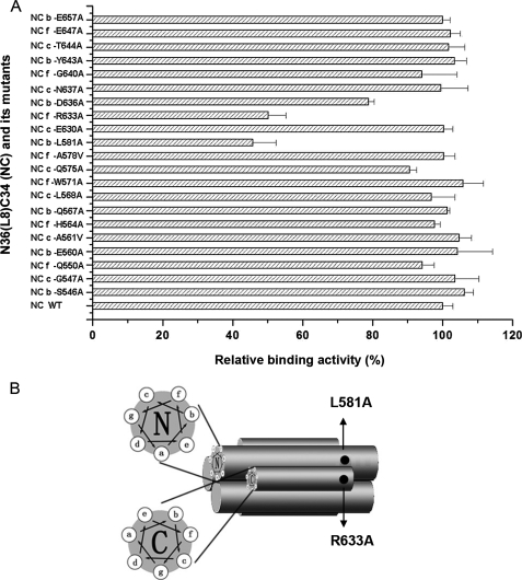 FIGURE 7.