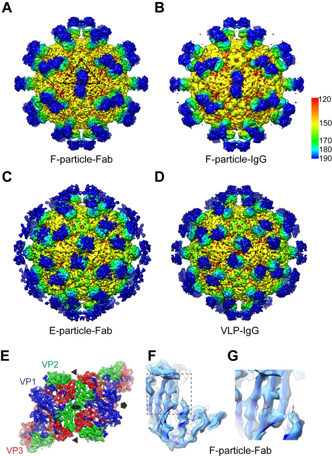 Fig 1