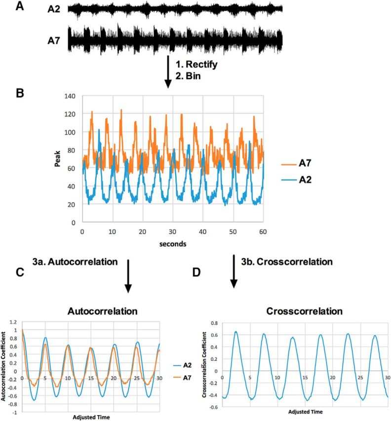 Figure 5.