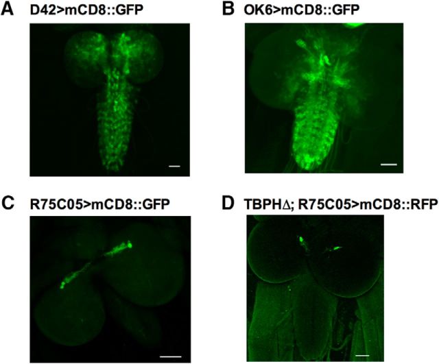 Figure 2.