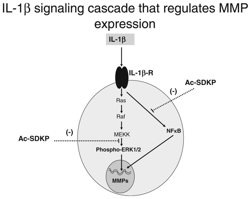 Fig. 9