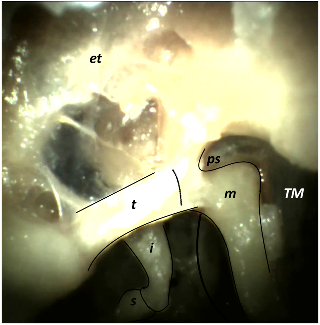 Figure 4: