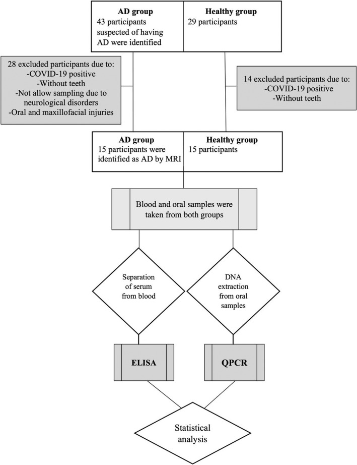 FIGURE 1