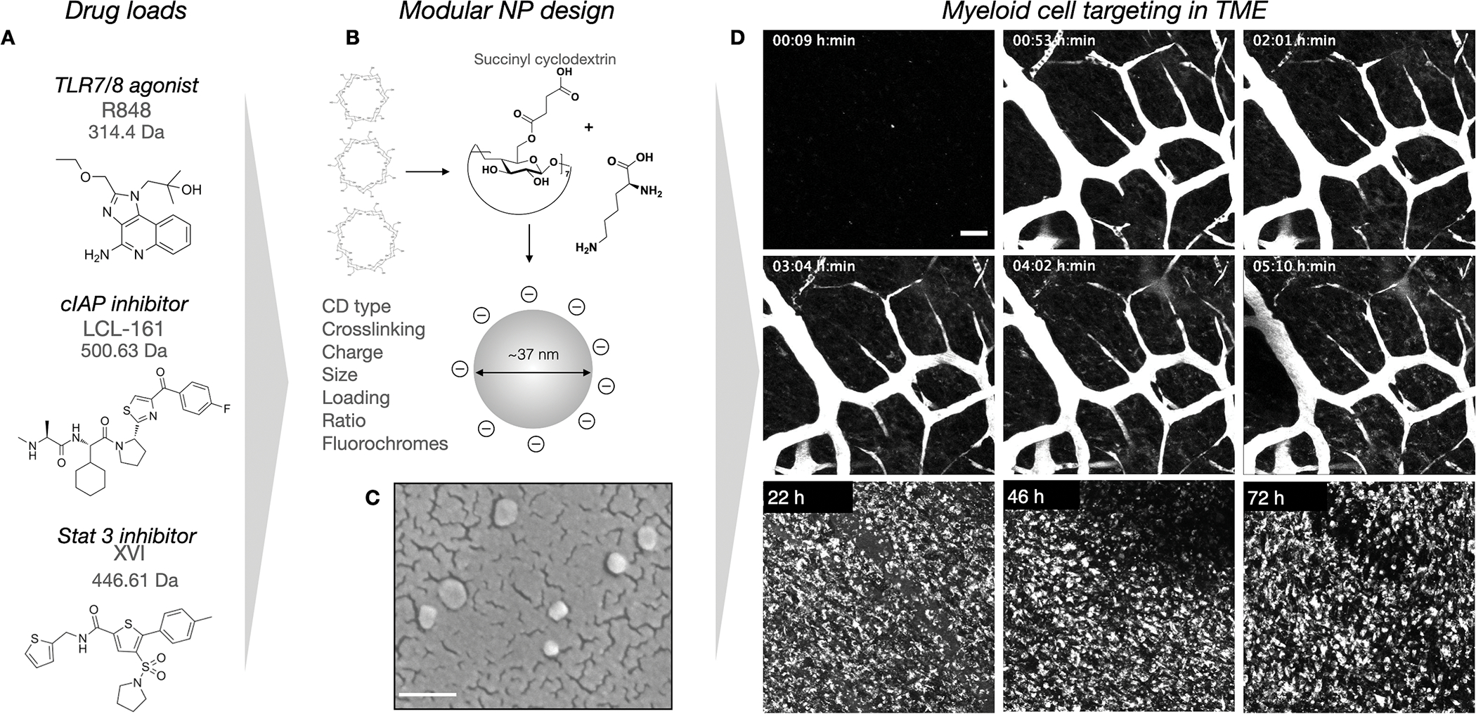 Fig. 2: