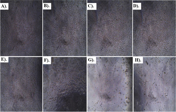 Fig. 10