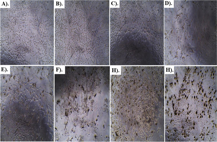 Fig. 8