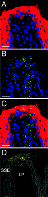 FIG. 4.