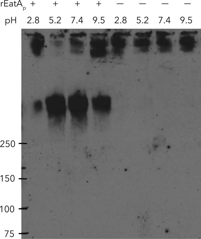 FIG 3