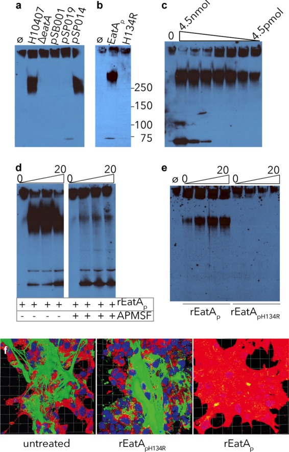 FIG 2