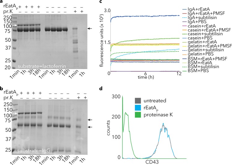 FIG 4