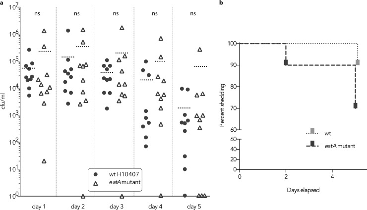 FIG 6