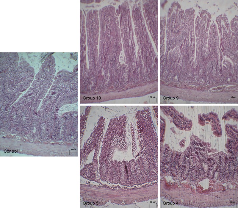 Figure 1: