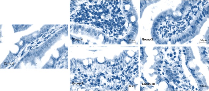 Figure 5: