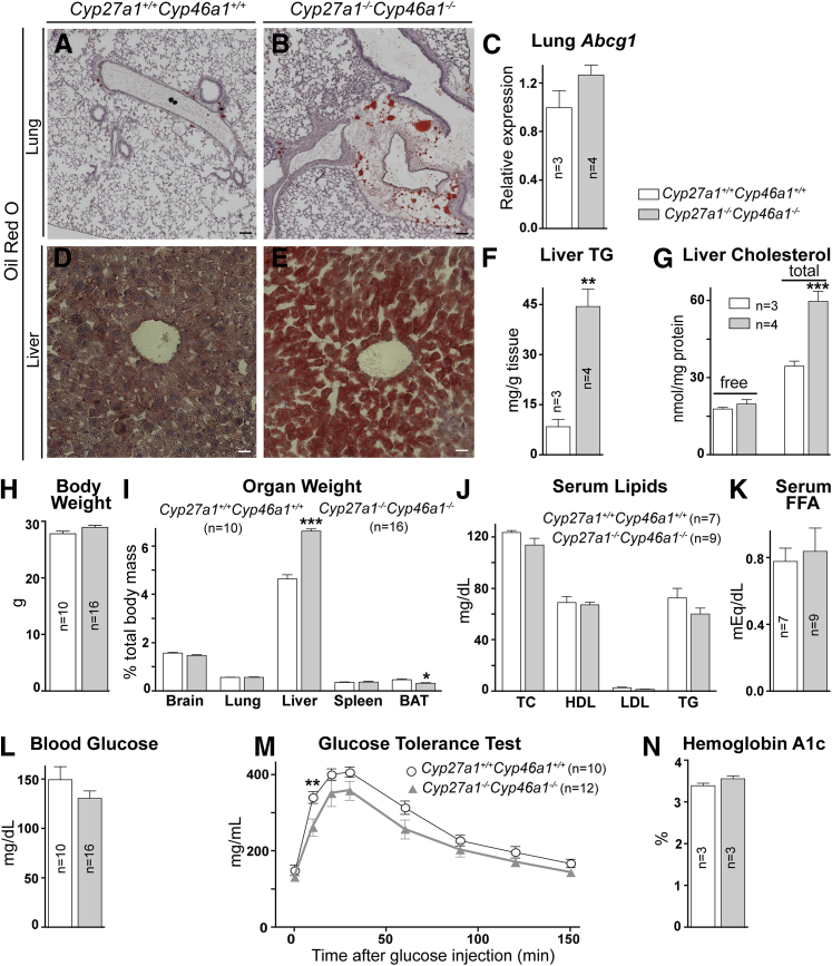 Figure 6