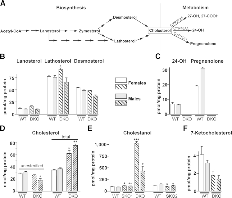 Figure 1