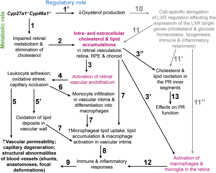 Figure 9