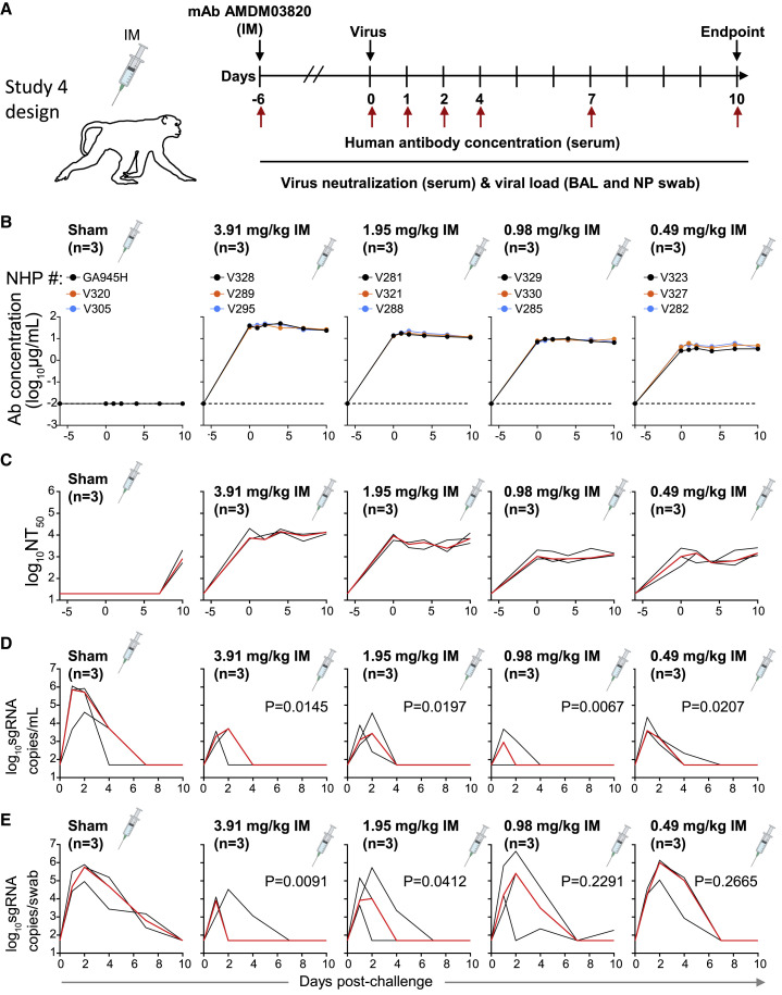 Figure 4