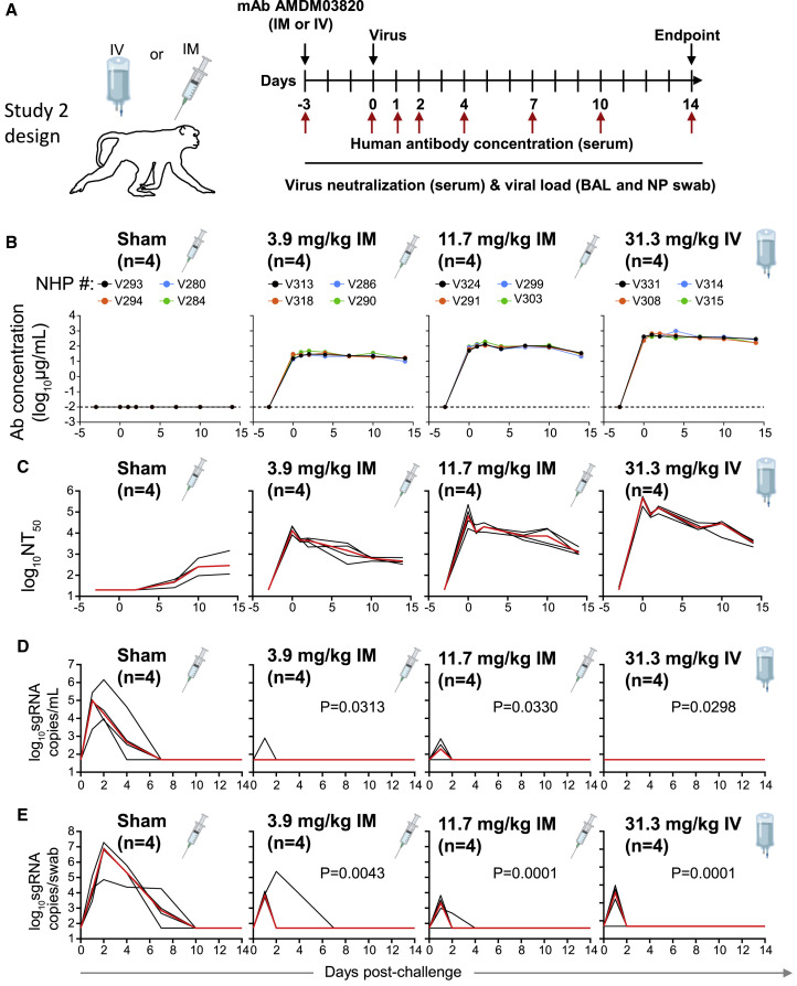 Figure 2