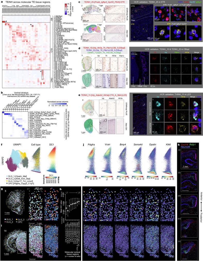 Extended Data Fig. 8